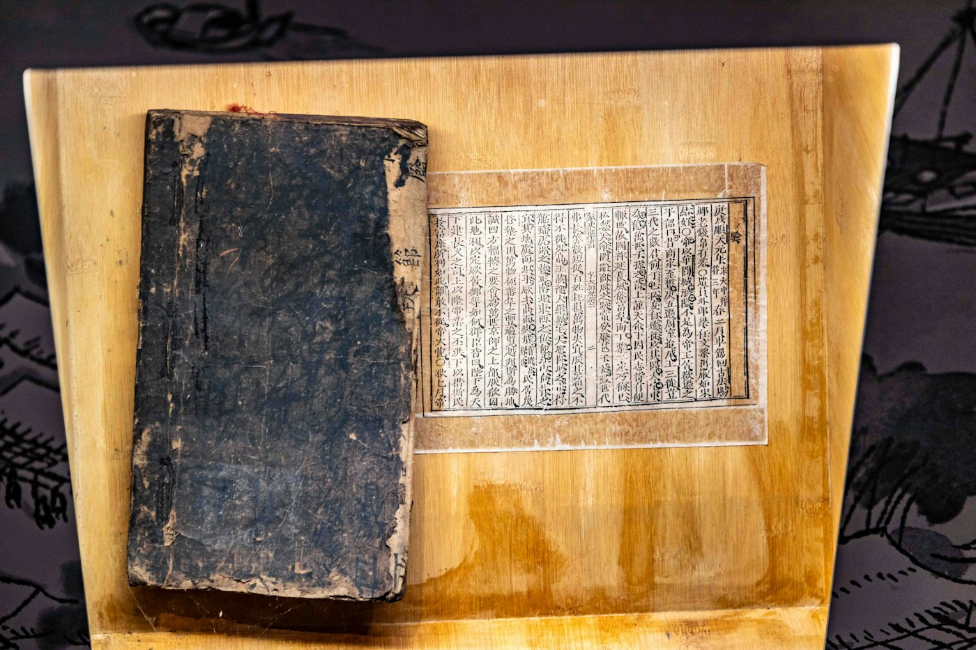 Un libro antico e un manoscritto esposti in una teca